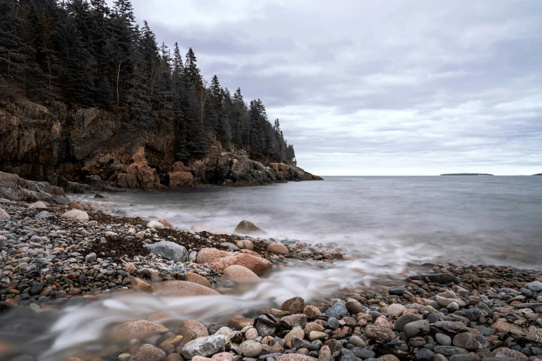 a very calm body of water next to a wooded coastline