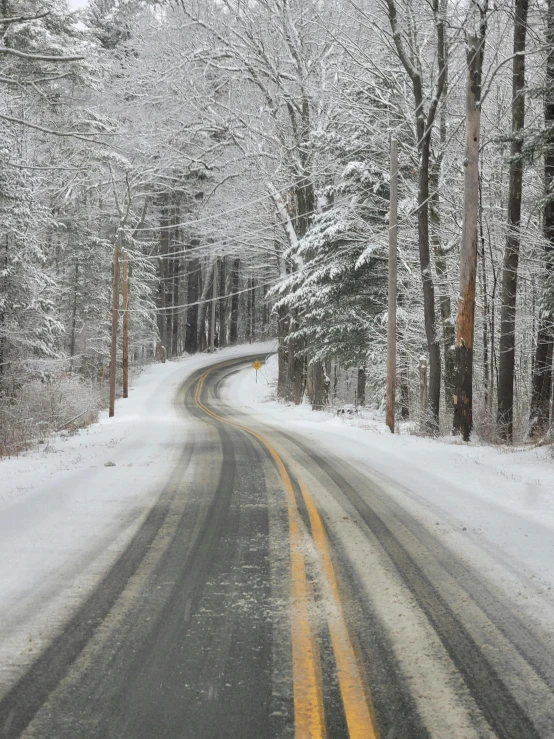 a road with snowy trees next to the side