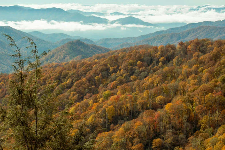 a scenic view from the top of a mountain