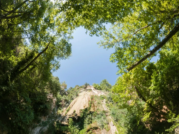 the view of a path through a green area