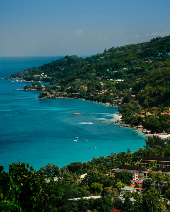 an aerial view of the ocean with tropical vegetation around it