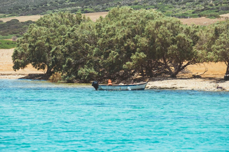 two people in a small boat under trees near water