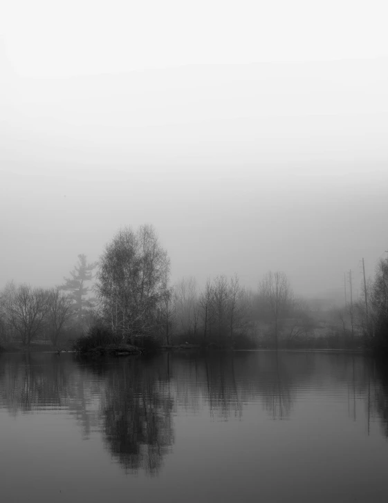 a foggy lake with trees, a lighthouse and water