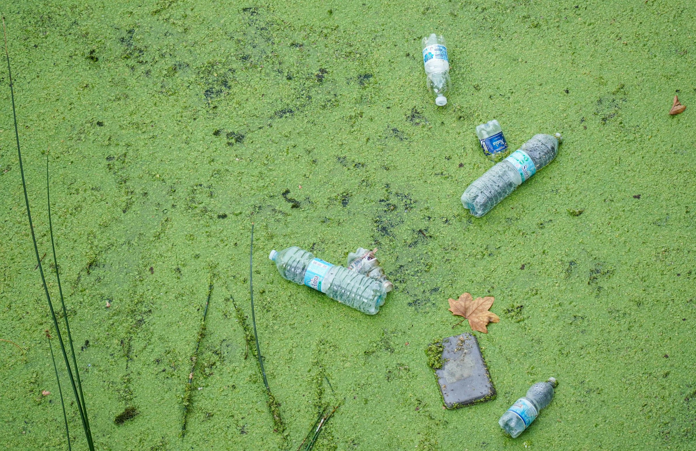 many bottles sitting on top of green grass