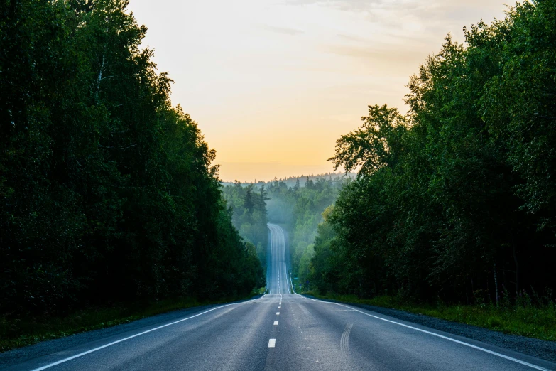 a long straight road surrounded by forest at sunset