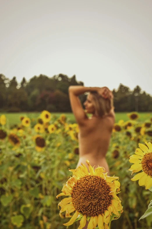  woman in a sunflower field near trees