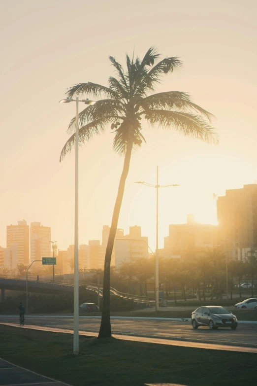 the sun is setting in a large city area with tall buildings