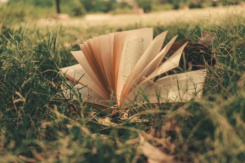 an open book on top of grass in the grass