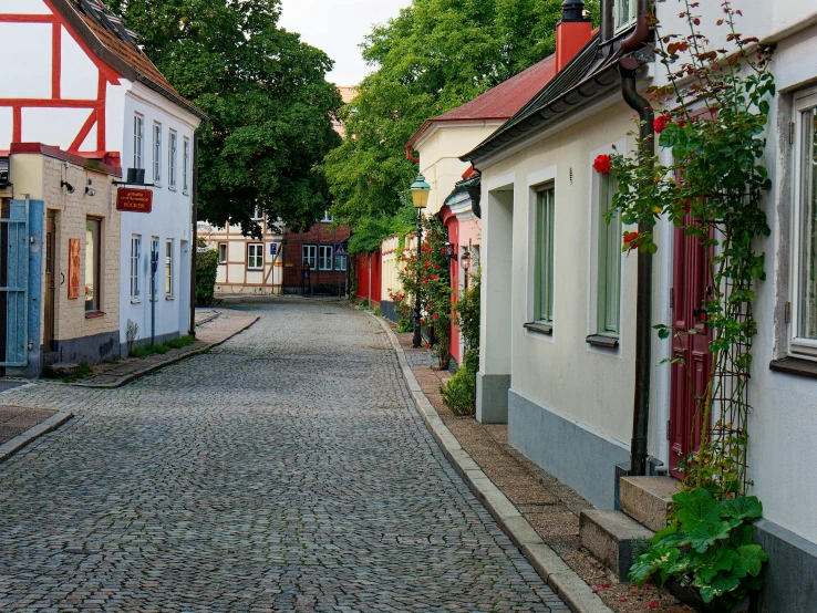 the narrow cobblestone street that surrounds town has many buildings and is near an alley way