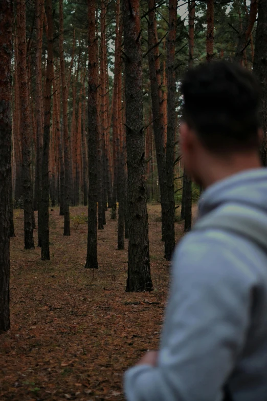 a man standing in a forrest with lots of trees