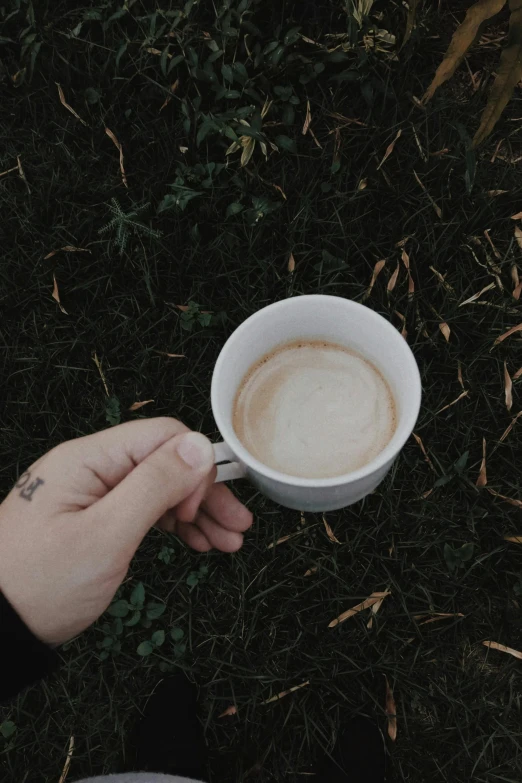 someone holding a coffee cup on the grass