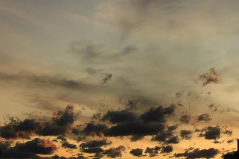 some birds flying high in the sky at sunset