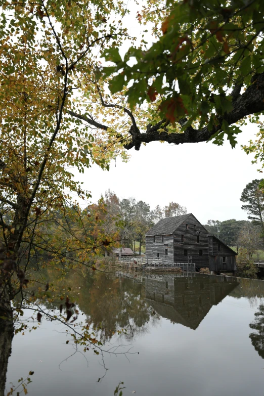 the building is surrounded by several trees in the fall