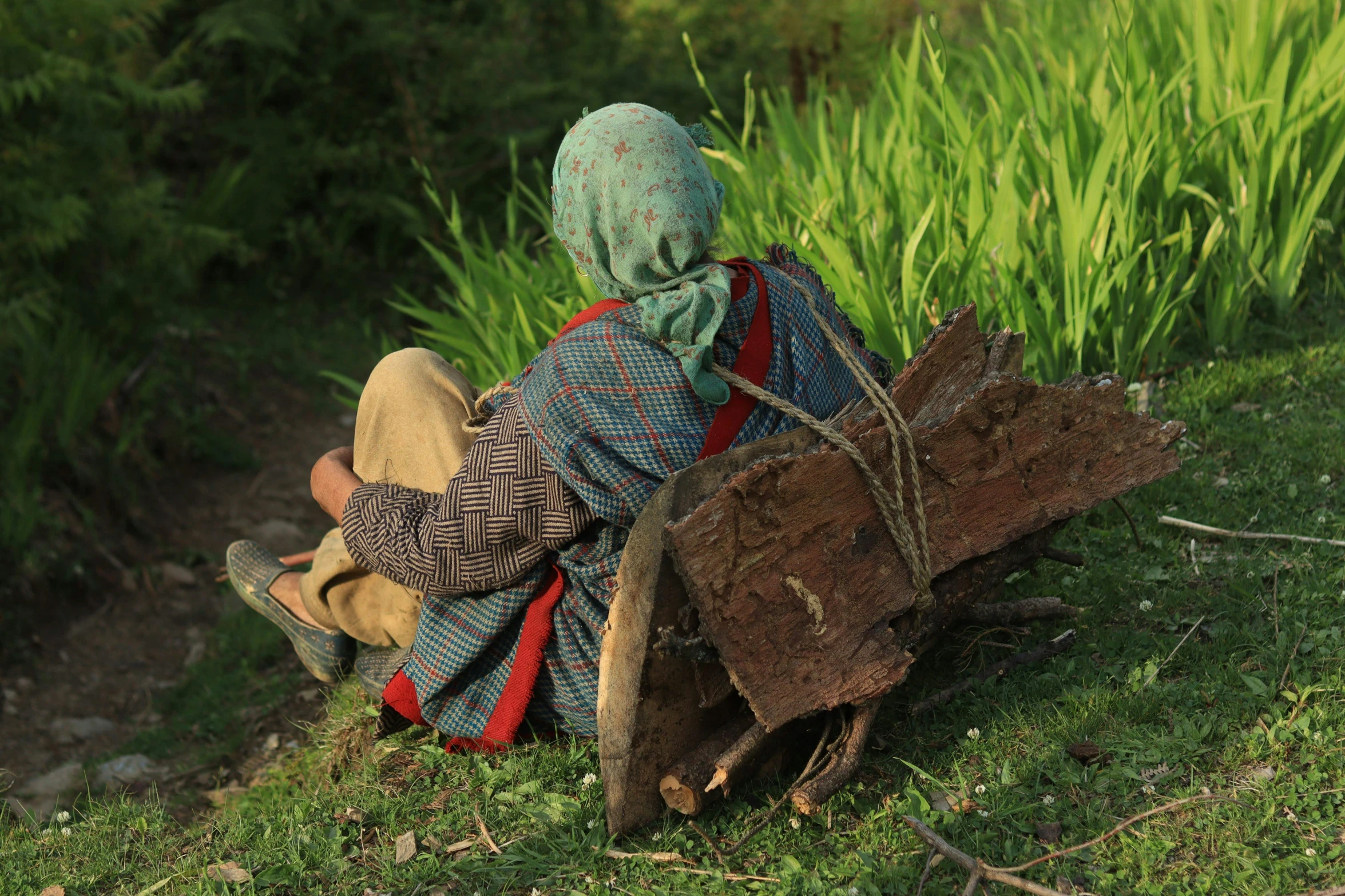 a boy sits on a log in the grass