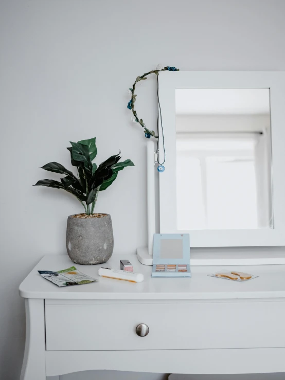 a white dresser with plant in grey pot on it