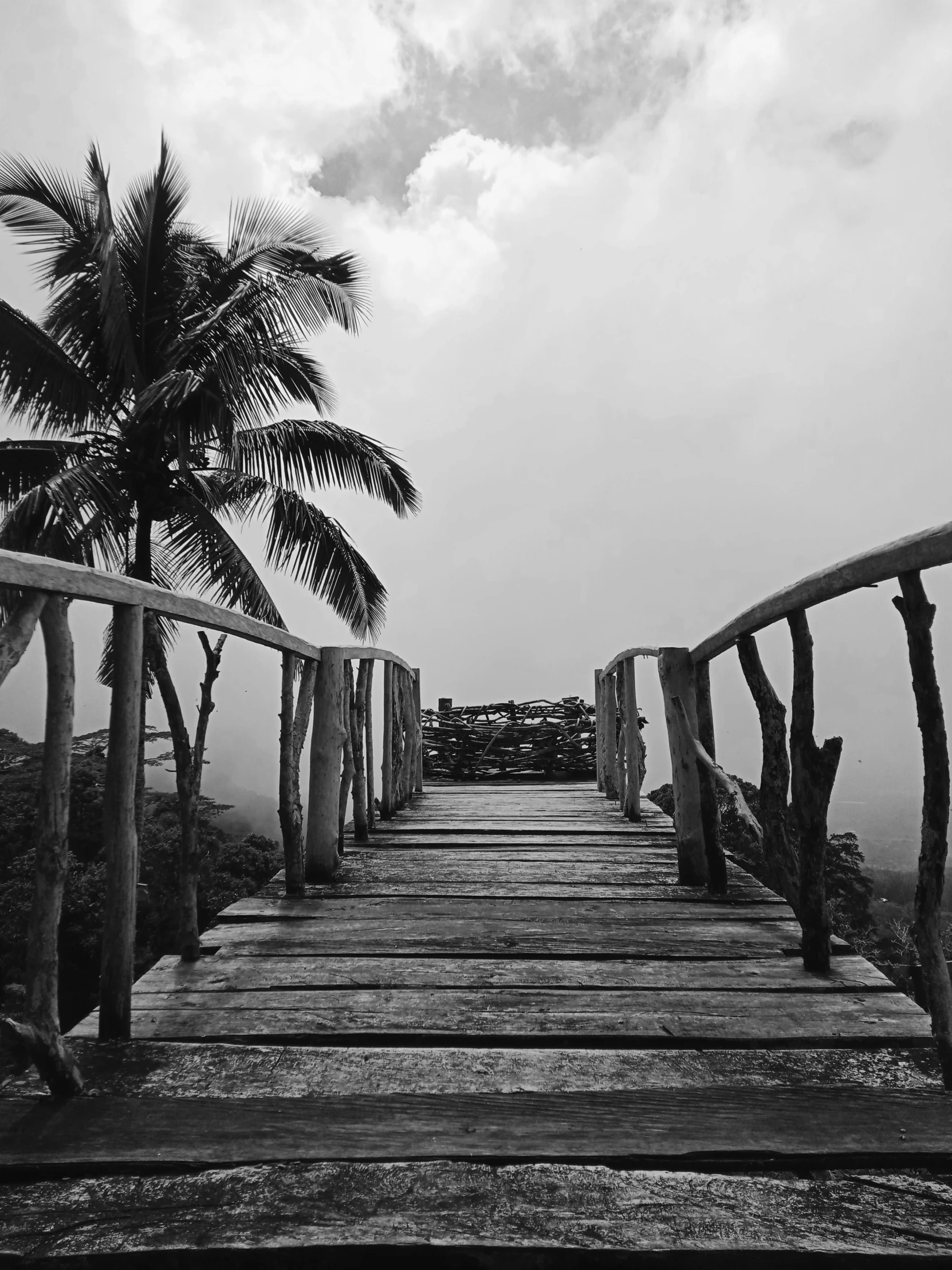 two palm trees sit in the clouds above a bridge