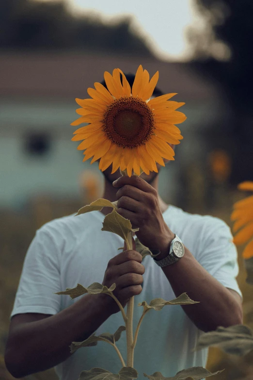 a person covering his face with a sunflower