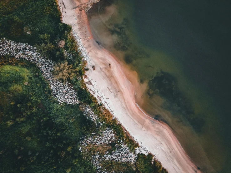 an aerial view of a beach and trees near the water