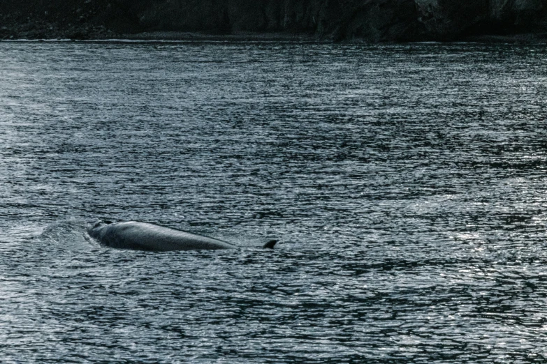 the large body of water with a bird flying over it