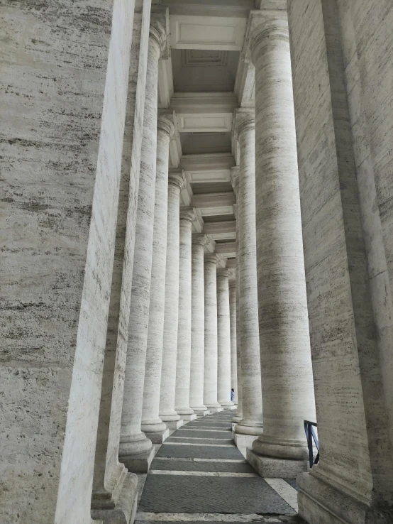 an upward view of rows of columns and benches