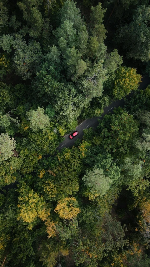 an aerial view of an aerial po of a forest