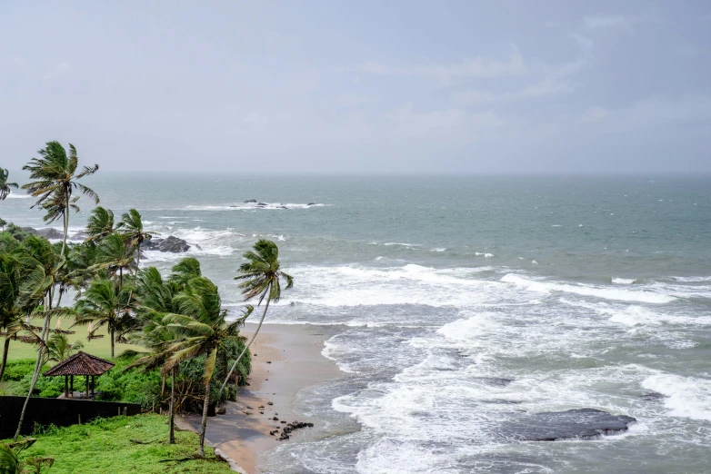 a view of a beach with lots of trees