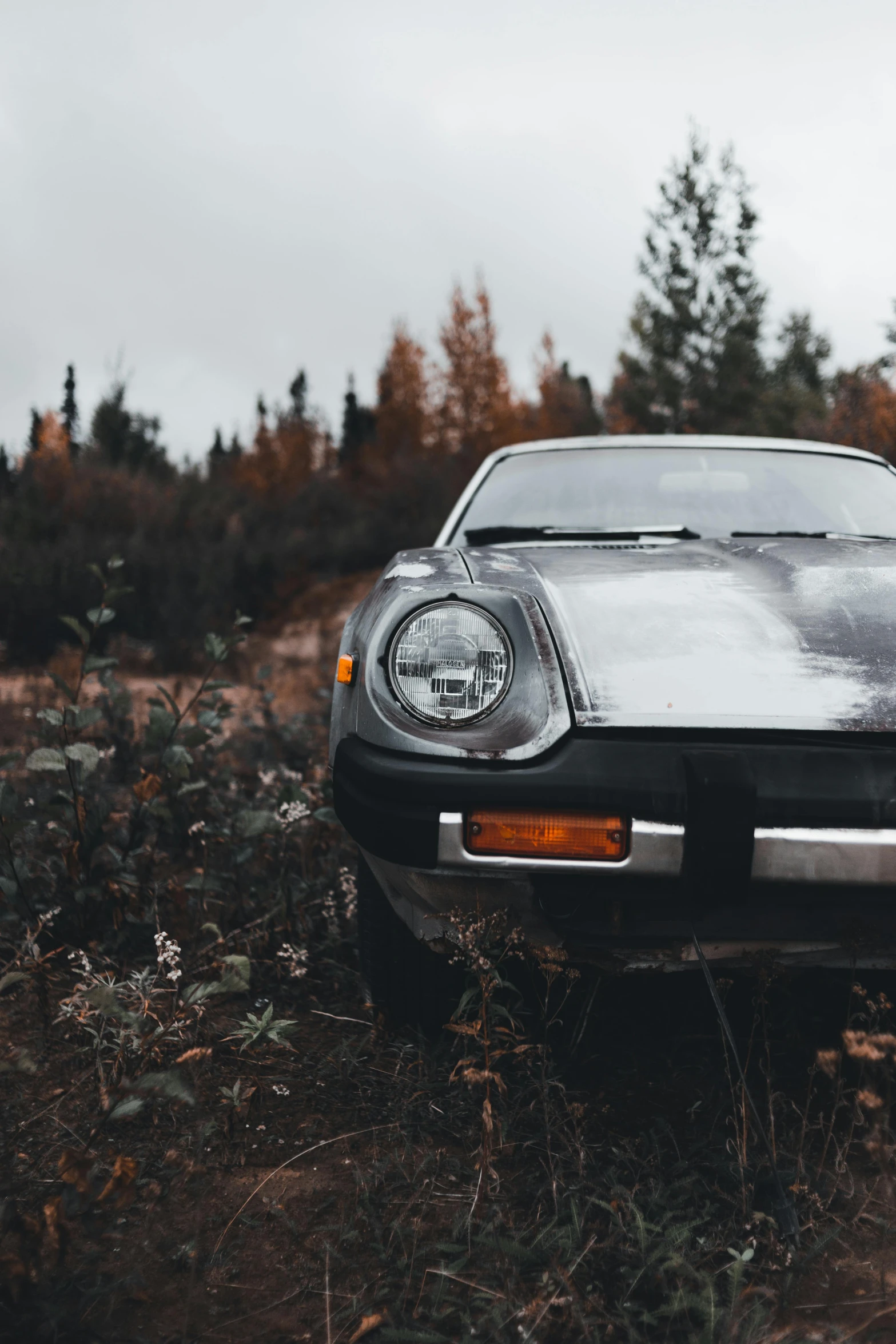 a rusted out car parked on a wooded road