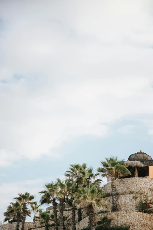 some palm trees and a house are near some rocks