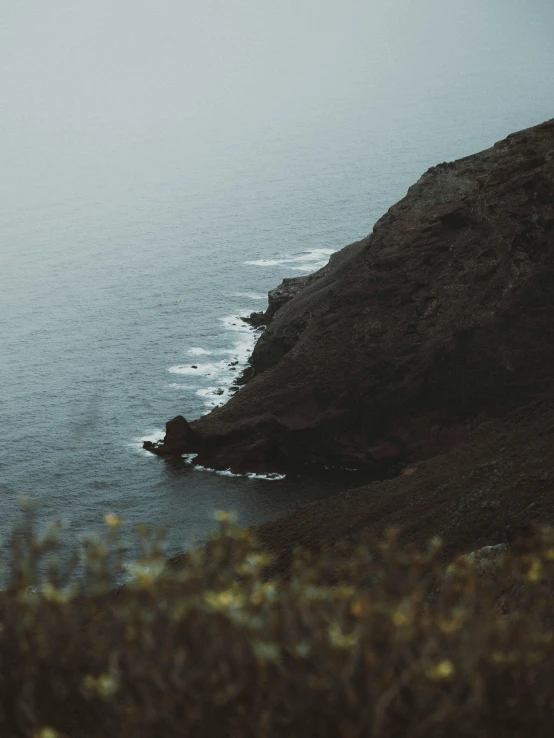 an island near the sea is covered in dark vegetation