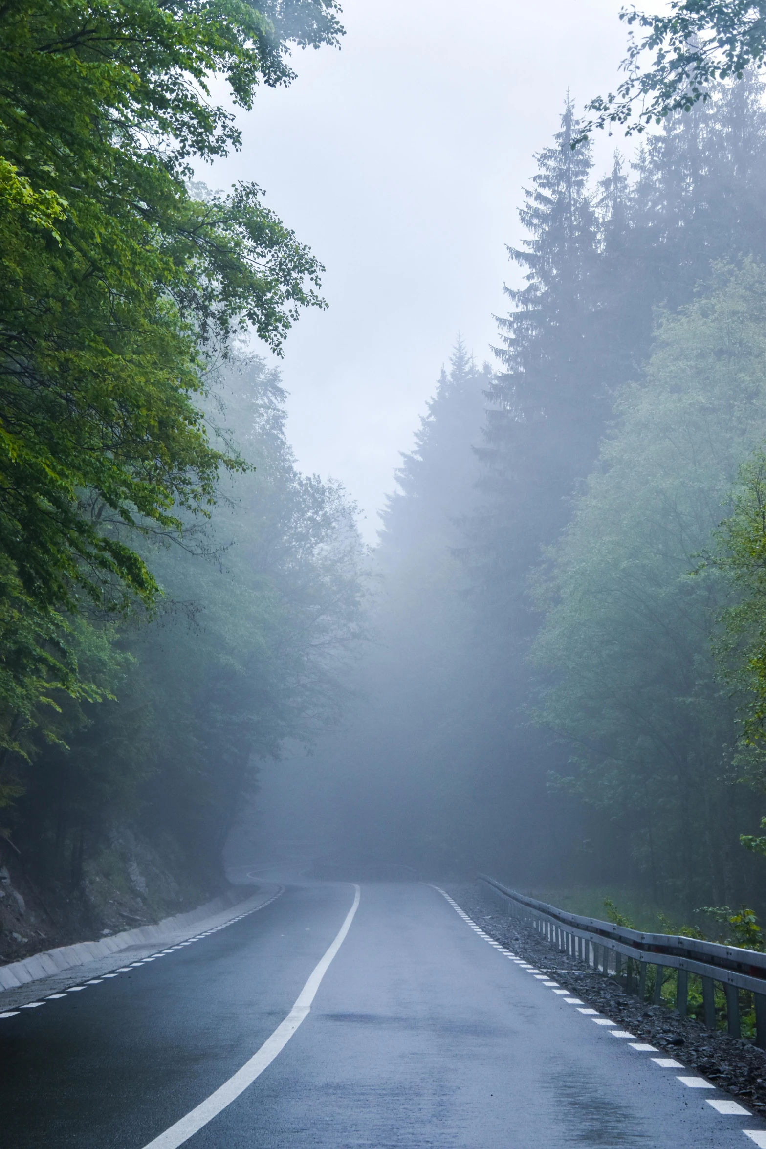 a foggy mountain road with trees near by