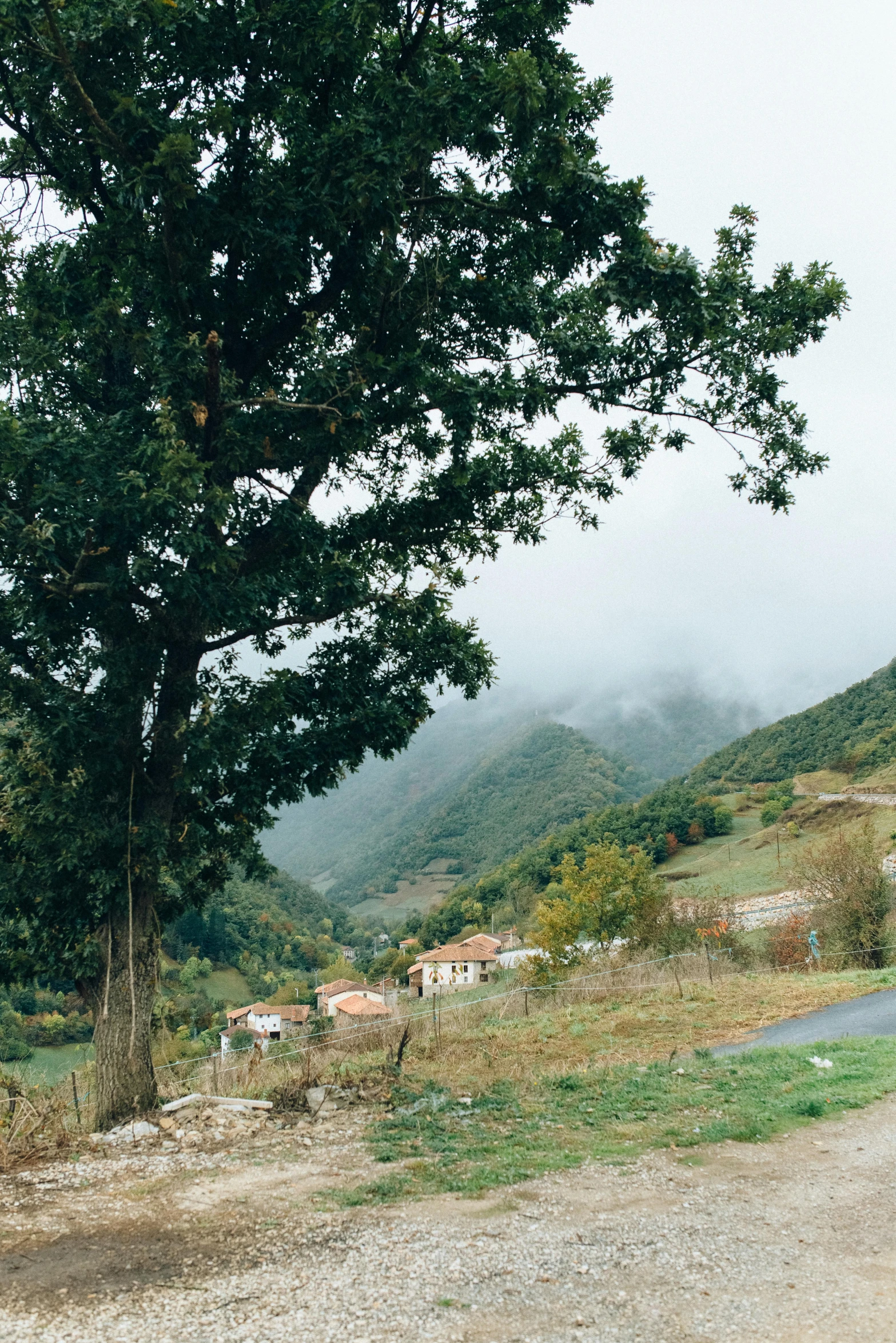 a rural scene with trees and a hill in the background