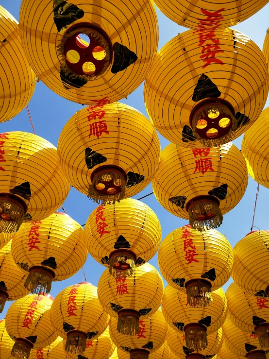 large group of lanterns hanging from the ceiling