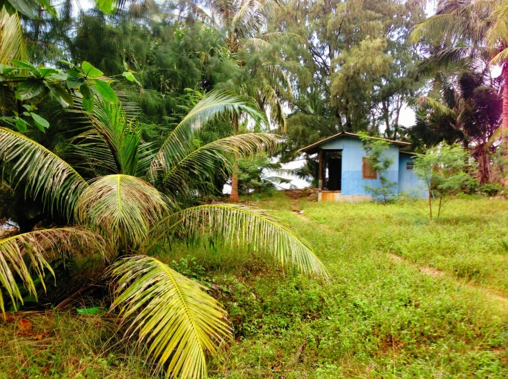 a house sitting in the middle of the forest