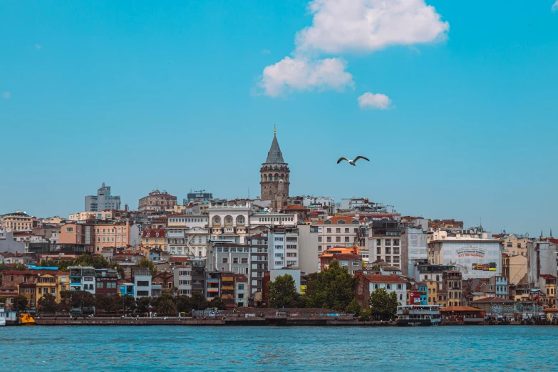 there are some birds flying over the buildings on the shore