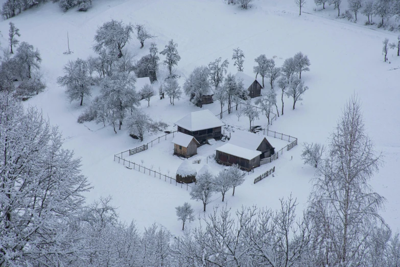 a cabin surrounded by a forest covered in snow