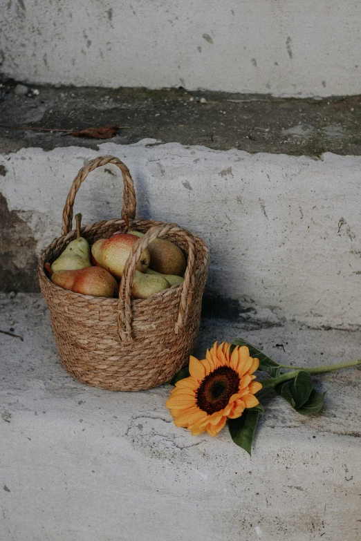 a woven basket with some fruit inside sitting next to a flower