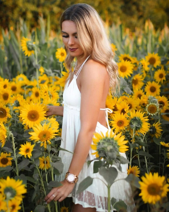 a beautiful blonde wearing a white dress in a field of sunflowers