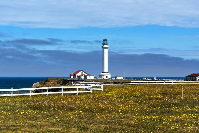 the lighthouse has a fence beside it, and yellow flowers are in bloom