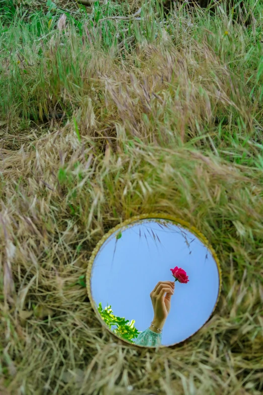 a circle of mirrors in grass reflecting a hand holding flowers