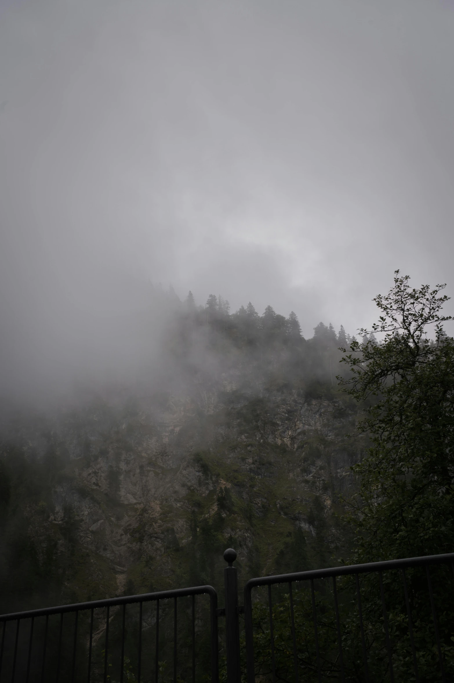 a mountain with many trees on it is shroud by fog