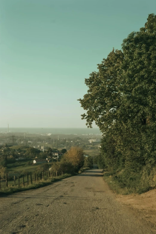 a road next to a forest and fence with a view of the town below