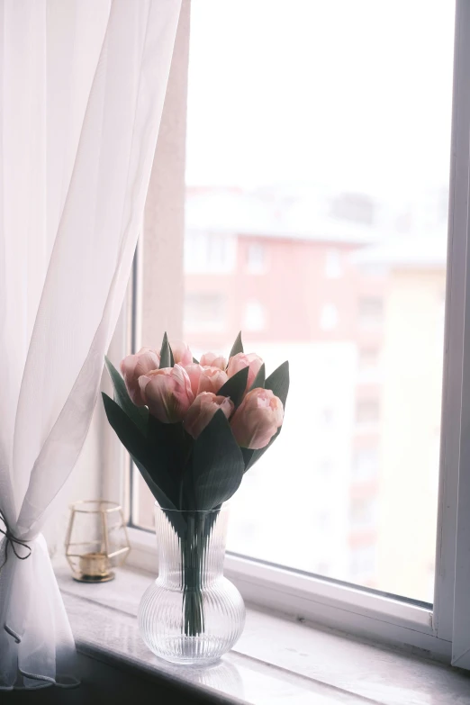 flowers in vase sitting on a windowsill