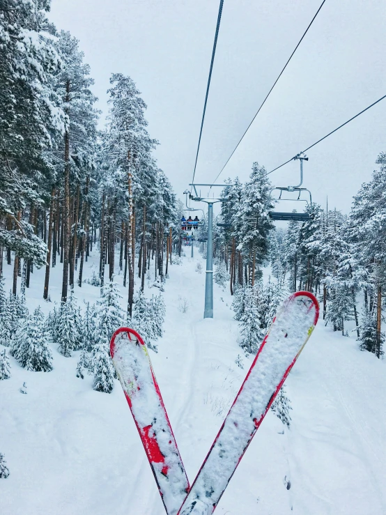 a pair of red skis sitting in the snow