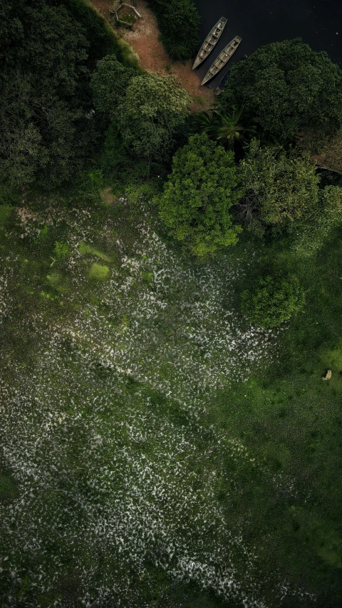 some boats parked near a small patch of grass