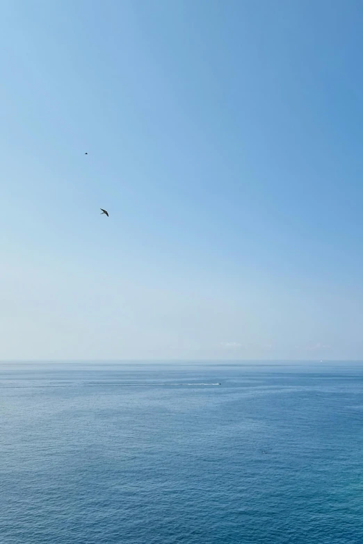 a bird flying in the air over the ocean