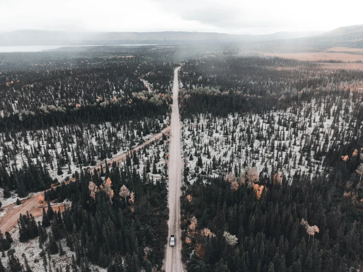 a car driving down a road in the middle of a forest