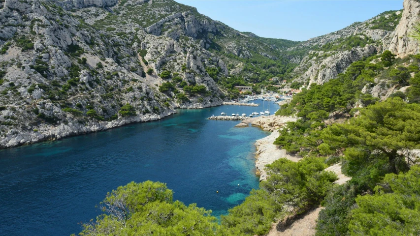 a body of water near trees and a large hill