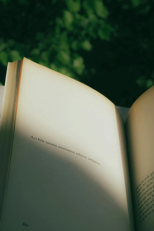 a book opened and on display in the sun