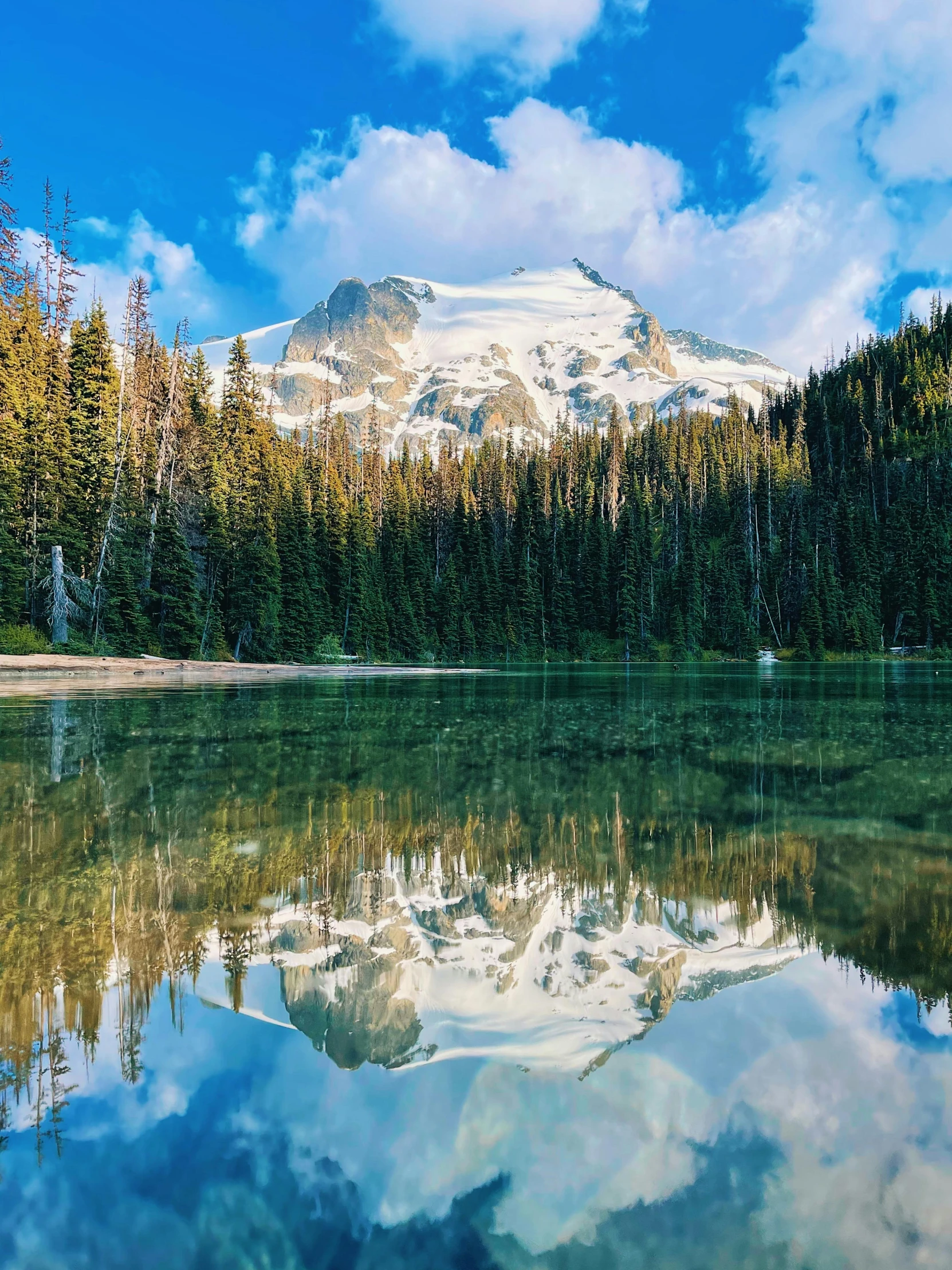 a mountain stands above a body of water and surrounded by evergreens