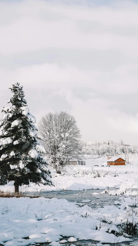 a snowy landscape with trees, rocks and a house in the distance